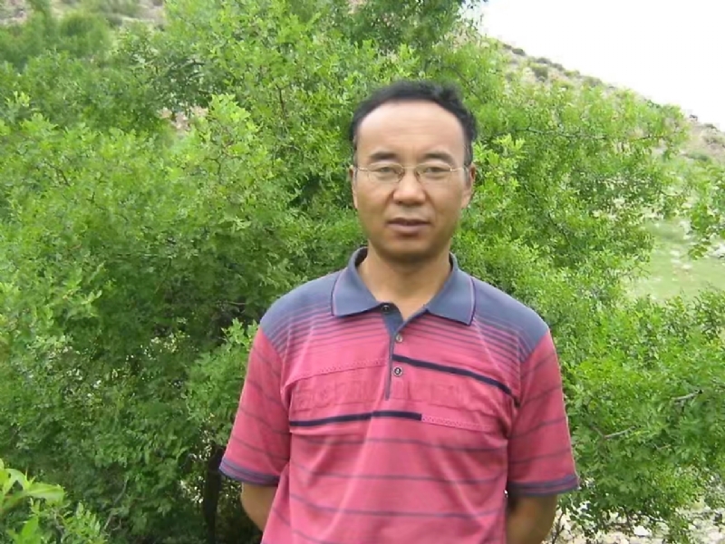绿水青山的第二张照片--宁夏王婆说媒